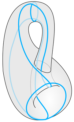 Klein Bottle