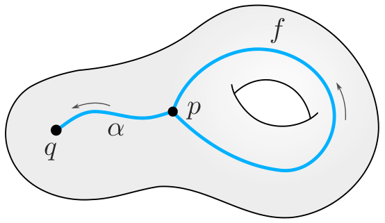Torus
